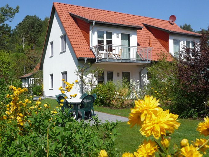 Usedom-Ferienwohnungen: Gepflegter Garten mit viel buntem Grün.