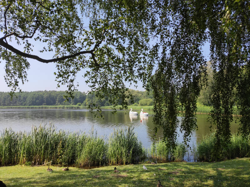 Romantisch: Der Kölpinsee "hinter" dem Sandstrand an der Ostsee.