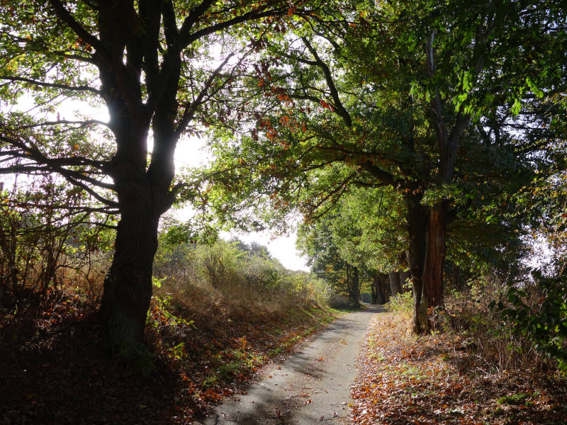 Wanderurlaub auf Usedom: Bestes Wetter im Herbst, wunderbare Farben, schöne Landschaft.