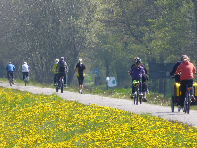 Aktivurlaub in der Inselmitte Usedom: Radfahren auf dem Küstenradweg.