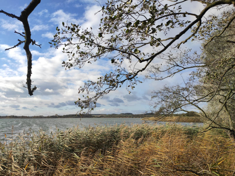 Der Gothensee bei Bansin auf der Insel Usedom: Blick über den See.