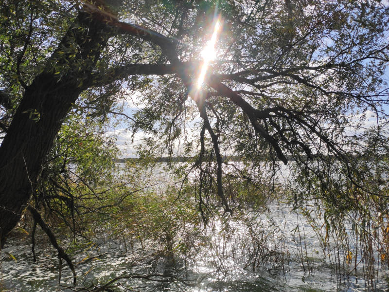 Romantik und Naturerlebnis auf Usedom: Der Gothensee im Hinterland der Kaiserbäder.