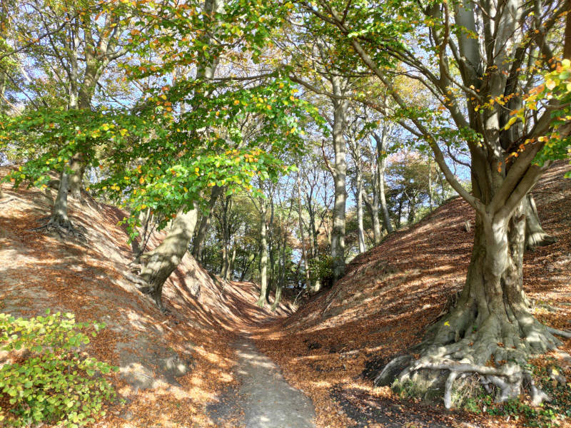 Herbst im Usedomer Haffland: An der Steilküste bei Kamminke.