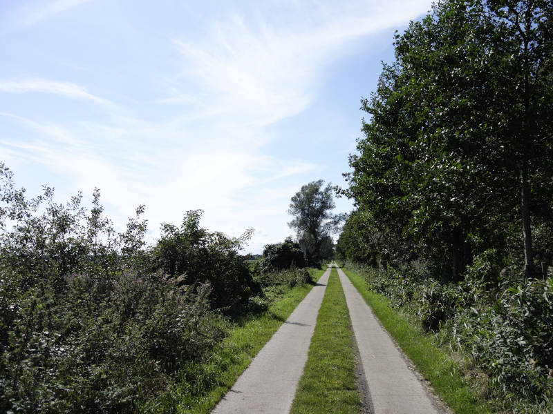 Wege durch ein weites Land: Das Thurbruch im Usedomer Hinterland.