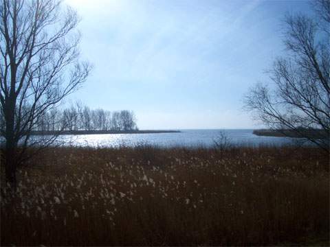 Von Lütten Ort zwischen Koserow und Zempin auf Usedom aus entstand dieses Foto über das Achterwasser