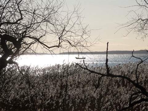 Winterurlaub auf der Insel Usedom: Das Achterwasser an der Halbinsel Gnitz.