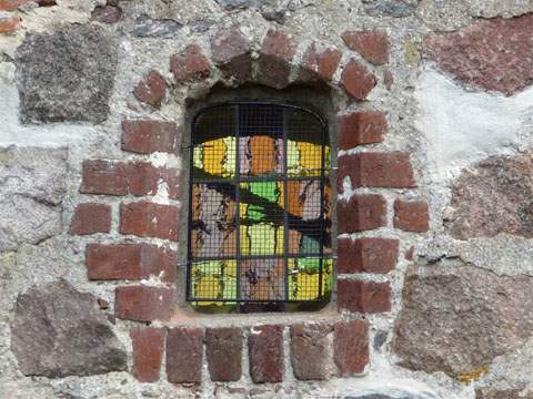 Auf dem Festland nahe Usedom: Kirchenfenster der Dorfkirche von Wehrland-Bauer bei Lassan am Peenestrom.