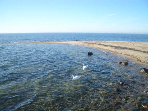 Kleines Idyll: Sandstrand am Nothafen der Insel Greifswalder Oie nördlich von Usedom.