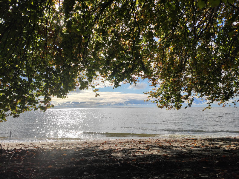 Sandstrand: Das Stettiner Haff vor Kamminke in der Mittagssonne.