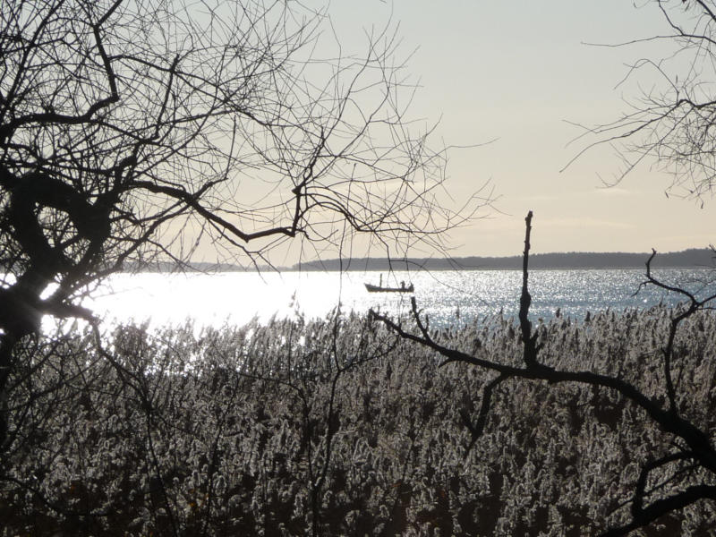 Malerisches Usedom: Die tiefstehende Sonne spiegelt sich auf der Oberfläche des Achterwassers.