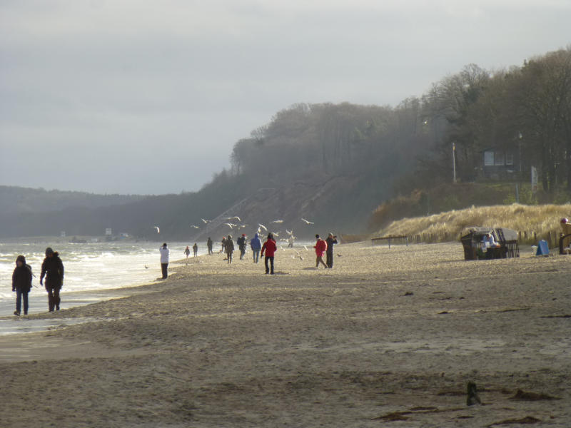 Farben und Stimmungen auf der Insel Usedom: Herbstsonne auf dem Ostseestand von Loddin.