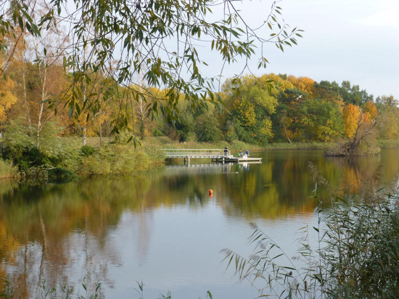 Unmittelbar hinter dem Usedomer Ostseedeich: Der Kölpinsee glänzt in der Herbstsonne.