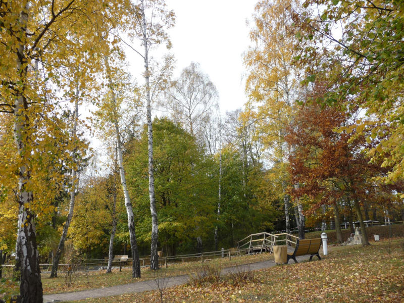 Der kleine Kurpark des Seebads Kölpinsee/Loddin: Sonnenstrahlen auf der Brücke.