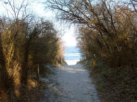 Schöne Perspektive: Blick entlang eines Strandzuganges bei Zinnowitz auf Usedom.