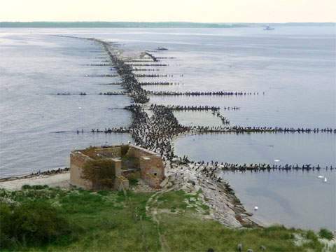 Biotop Insel Ruden: Ein befestigter Sandhaken zieht sich in Richtung Peenemünder Haken.