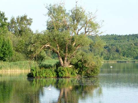 Sommer am Kölpinsee direkt hinter dem Deich an der Ostsee: die Schwaneninsel.