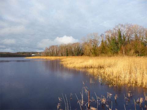 In keiner anderen Jahreszeit wirken die warmen Farben der Küstenlandschaft auf Usedom so wie im Winter.