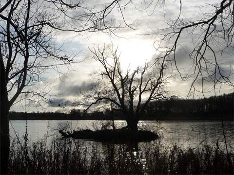 Winterurlaub auf Usedom: Die Schwaneninsel im Kölpinsee im Gegenlicht einer tiefstehenen Wintersonne.