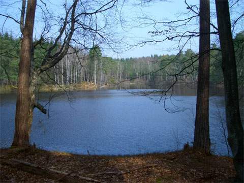 Entlegen: der kleine Waldsee Schwarzes Herz am Zerninmoor auf der Insel Usedom.