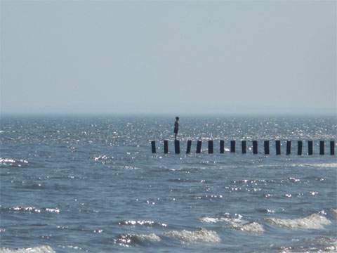 Bernsteinbad Ückeritz auf der Insel Usedom: Ein Junge hat sich weit auf die Buhne vorgewagt.