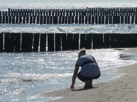 Kölpinseer Strandvergnügen: Muschelsammeln am Spülsaum der Ostsee.