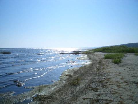 Im Nordwesten bei Peenemünde endet der Sandstrand und es beginnt ein Schilfufer am Greifswalder Bodden.