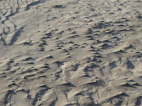 Relief aus Strandsand und Muscheln: Zwischen Trassenheide und Karlshagen enstand diese Aufnahme im Dezember.