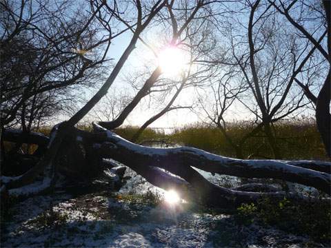 Winterurlaub: Das Achterwasser an der Halbinsel Gnitz bei Lütow.