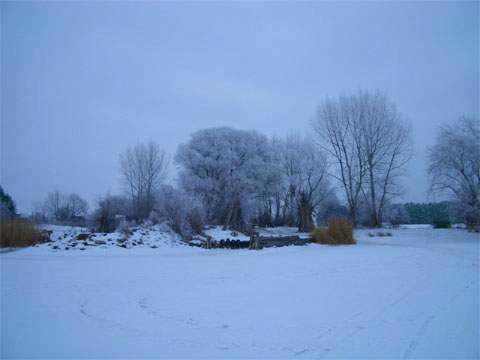 Blick vom Peenestrom auf den kleinen Fischerhafen des Dorfes Warthe auf dem Lieper Winkel.