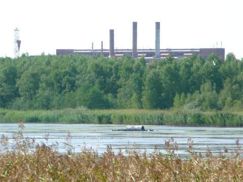 Noch ein Kölpinsee auf der Insel Usedom: Im Hintergrund das Kraftwerk Peenemünde.