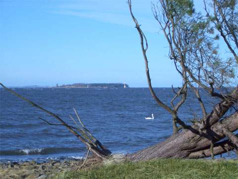 Zwischen den Inseln Usedom und Ruden verläft die Nord-Süd-Schifffahrtslinieim Greifswalder Bodden.