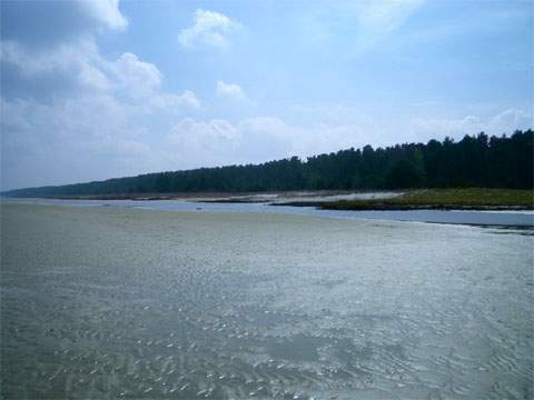 Wattenmeer bei Usedom: Die Ostseeküste vor der Großen Strandwiese bei Peenemünde.