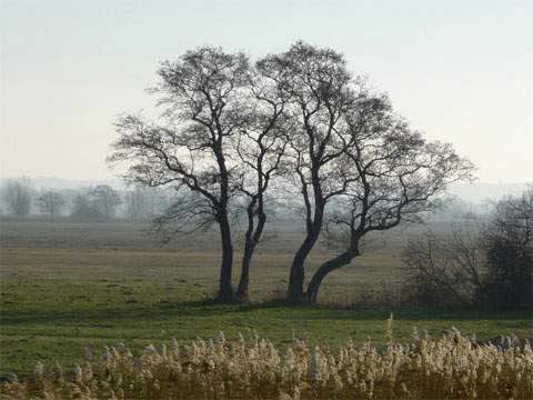 Winterliche Kontraste und Farben in eisiger Landschaft zwischen Ückeritz und Pudagla.