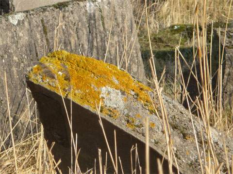 In den Peenewiesen zwischen Peenemünde und Karlshagen befinden sich 9 Ruinen ehemaliger Lagerbunker.