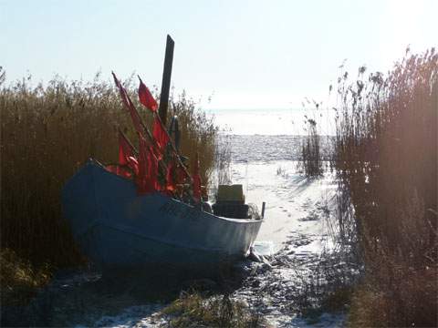 Fischerhafen im Schilf: Zwischen Garz und Kamminke auf Usedom versteckt sich dieser kleine Anleger.