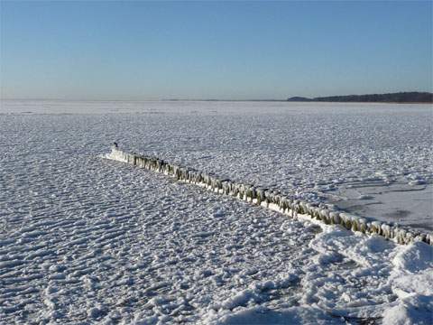 Buhnenstrand am Stettiner Haff: Der Hafftourismus auf Usedom bietet ruhige Erholung.