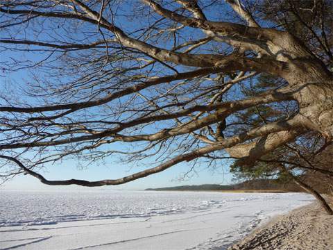 Zunehmend im Trend bietet ein Winterurlaub auf der Insel Usedom Naturerlebnis, Ruhe und wunderbare Impressionen.