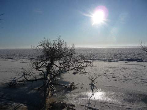 Naturerlebnis Usedom: Farben und Kontraste sind im Winterurlaub an der Ostsee ein bereicherndes Erlebnis.