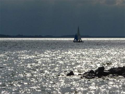 Wichtigstes Wassersportgebiet auf Usedom ist das Achterwasser - hier ein Segelboot in der Abendsonne.