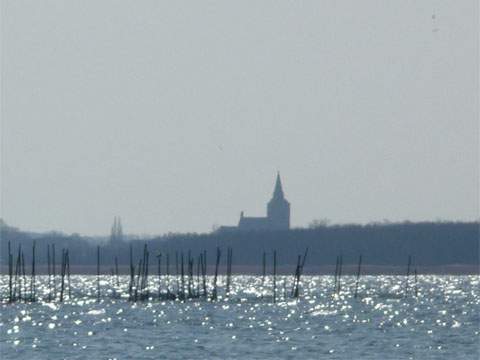 Achterwasser, Peenestrom, Lassan: Harmonisches Panorama von der Halbinsel Gnitz gesehen.