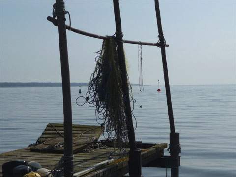 Fischerei auf Usedom: Fischernetze hängen am Hafen von Kamminke; im Hintergrund das Haff.