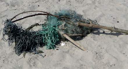 Fang des Harung: Angespültes Fischernetz am Ostseestrand der Insel Usedom.