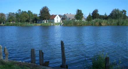 Häser am Wasser: Ost- und Westklüne am Usedomer See.