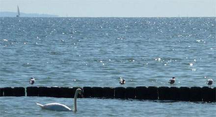 Heimat am Meer: Die Ostseeküste der Pommerschen Bucht.