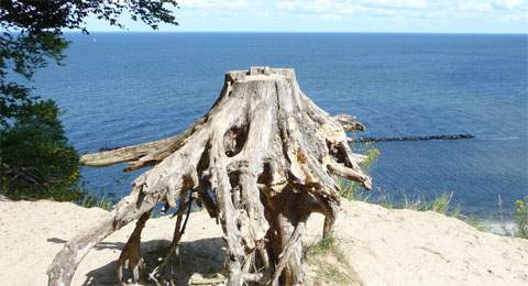 "Wo dei Bernsteinhex von'n Streckelbarch hätt winkt": Blick auf die Ostsee.