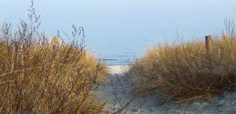 Zu jeder Jahreszeit ein wundervoller Ort: Der Ostseestrand von Kölpinsee auf Usedom.