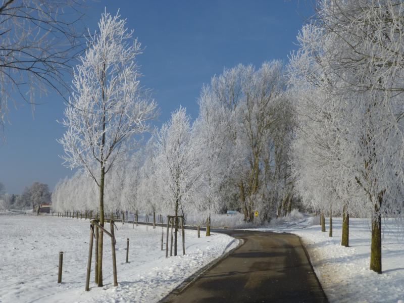 Karges Land: Winterliche Wiesenlandschaft zwischen Loddin und Ückeritz.