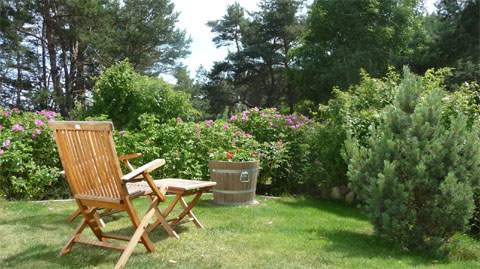 Blick in die Natur: Gemütliche Sitzecke im Garten der Usedom-Ferienwohnung.