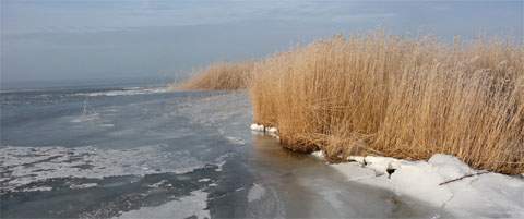 Gefrorenes Achterwasser: Winterurlaub auf Usedom.