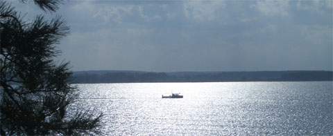 Blick auf den Peenestrom vom Weißen Berg bei Lütow auf dem Gnitz.